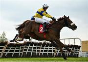 2 May 2024; Pigeon House, with Nico de Boinville up, jumps the last on their way to winning the Specialist Group Handicap Hurdle during day three of the Punchestown Festival at Punchestown Racecourse in Kildare. Photo by Seb Daly/Sportsfile