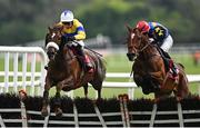 2 May 2024; Pigeon House, left, with Nico de Boinville up, jumps the last on their way to winning the Specialist Group Handicap Hurdle, from eventual second place Killeemore Lad, right, with Philip Donovan up, during day three of the Punchestown Festival at Punchestown Racecourse in Kildare. Photo by Seb Daly/Sportsfile