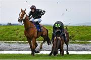 2 May 2024; Jockey Rob James and El Paso Wood, right, narrowly avoid falling after clearing Ruby's Double during the Mongey Communications La Touche Cup Cross Country Steeplechase on day three of the Punchestown Festival at Punchestown Racecourse in Kildare. Photo by Seb Daly/Sportsfile