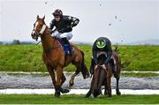 2 May 2024; Jockey Rob James and El Paso Wood, right, narrowly avoid falling after clearing Ruby's Double during the Mongey Communications La Touche Cup Cross Country Steeplechase on day three of the Punchestown Festival at Punchestown Racecourse in Kildare. Photo by Seb Daly/Sportsfile