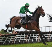 2 May 2024; Ashdale Bob, with Conor Smithers up, during the Conway Piling Handicap Hurdle during day three of the Punchestown Festival at Punchestown Racecourse in Kildare. Photo by Seb Daly/Sportsfile
