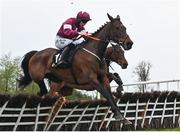 2 May 2024; Will Do, with Danny Gilligan up, during the Conway Piling Handicap Hurdle during day three of the Punchestown Festival at Punchestown Racecourse in Kildare. Photo by Seb Daly/Sportsfile