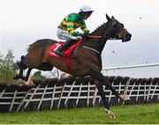 2 May 2024; Sire Du Berlais, with Mark Walsh up, during the Ladbrokes Champion Stayers Hurdle on day three of the Punchestown Festival at Punchestown Racecourse in Kildare. Photo by Seb Daly/Sportsfile