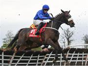 2 May 2024; Whatcouldhavebeen, with Aidan Kelly up, during the Ladbrokes Champion Stayers Hurdle on day three of the Punchestown Festival at Punchestown Racecourse in Kildare. Photo by Seb Daly/Sportsfile