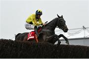 3 May 2024; Hgranca De Thaix, with Michael O'Sullivan up, jumps the last on their way to winning the EMS Copiers Novice Handicap Steeplechase during day four of the Punchestown Festival at Punchestown Racecourse in Kildare. Photo by Seb Daly/Sportsfile