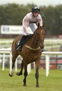 28 July 2004; Ursumman, with Niall Madden up, canters to the start for the HP Imaging & Digital Printing Handicap Hurdle. Galway Races, Ballybrit, Co. Galway. Picture credit; Pat Murphy / SPORTSFILE
