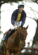 28 July 2004; Ballyamber, with Andrew McNamara up, canters to the start for the HP Galway Plate. Galway Races, Ballybrit, Co. Galway. Picture credit; Pat Murphy / SPORTSFILE