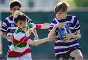 5 May 2024; Action from the Bective and Terenure match during the Leinster Rugby Bank of Ireland Schools Youth Finals Day at Energia Park in Dublin. Photo by Shauna Clinton/Sportsfile