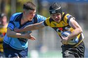 5 May 2024; Action from the Suttonians and Newbridge match during the Leinster Rugby Bank of Ireland Schools Youth Finals Day at Energia Park in Dublin. Photo by Shauna Clinton/Sportsfile