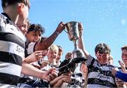 5 May 2024; Old Belvedere players celebrate after their side's victory in the Leinster Rugby Bank of Ireland Schools Youth Finals Day match between Seapoint and Old Belvedere at Energia Park in Dublin. Photo by Shauna Clinton/Sportsfile