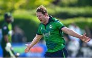 10 May 2024; Barry McCarthy of Ireland celebrates after taking the wicket of Pakistan's Shadab Khan, bowled and run-out, during match one of the Floki Men's T20 International Series between Ireland and Pakistan at Castle Avenue Cricket Ground in Dublin. Photo by Seb Daly/Sportsfile