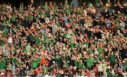 11 May 2024; Limerick supporters in the South Stand celebrate their side's first goal during the Munster GAA Hurling Senior Championship Round 3 match between Cork and Limerick at SuperValu Páirc Ui Chaoimh in Cork. Photo by Daire Brennan/Sportsfile