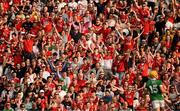 11 May 2024; Cork supporters react to a decision during the Munster GAA Hurling Senior Championship Round 3 match between Cork and Limerick at SuperValu Páirc Ui Chaoimh in Cork. Photo by Daire Brennan/Sportsfile
