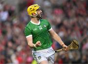 11 May 2024; Séamus Flanagan of Limerick celebrates after scoring his side's second goal during the Munster GAA Hurling Senior Championship Round 3 match between Cork and Limerick at SuperValu Páirc Ui Chaoimh in Cork. Photo by Daire Brennan/Sportsfile