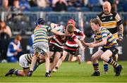 11 May 2024; Action from the Bank of Ireland Half-time Minis match between Monkstown and Carlingford at the United Rugby Championship match between Leinster and Ospreys at the RDS Arena in Dublin. Photo by Ramsey Cardy/Sportsfile
