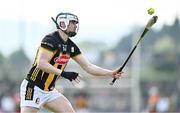 11 May 2024; TJ Reid of Kilkenny during the Leinster GAA Hurling Senior Championship Round 3 match between Carlow and Kilkenny at Netwatch Cullen Park in Carlow. Photo by Piaras Ó Mídheach/Sportsfile