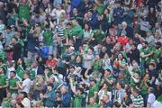 11 May 2024; Limerick supporters celebrate a goal during the Munster GAA Hurling Senior Championship Round 3 match between Cork and Limerick at SuperValu Páirc Ui Chaoimh in Cork. Photo by Stephen McCarthy/Sportsfile
