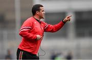 12 May 2024; Louth manager Ger Brennan during the Leinster GAA Football Senior Championship final match between Dublin and Louth at Croke Park in Dublin. Photo by Ben McShane/Sportsfile