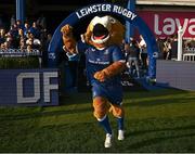 11 May 2024; Leo the Lion before the United Rugby Championship match between Leinster and Ospreys at the RDS Arena in Dublin. Photo by Harry Murphy/Sportsfile