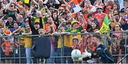 12 May 2024; Donegal supporters celebrate after Donegal goalkeeper Shaun Patton, front, saved the final penalty in the penalty shoot-out of the Ulster GAA Football Senior Championship final match between Armagh and Donegal at St Tiernach's Park in Clones, Monaghan. Photo by Piaras Ó Mídheach/Sportsfile