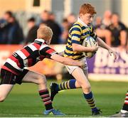 11 May 2024; Action from the Bank of Ireland Half-time Minis match between Carlingford and Monkstown at the United Rugby Championship match between Leinster and Ospreys at the RDS Arena in Dublin. Photo by Harry Murphy/Sportsfile