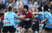 11 May 2024; Action from the Bank of Ireland Half-time Minis match between Old Wesley and MU Barnhall at the United Rugby Championship match between Leinster and Ospreys at the RDS Arena in Dublin. Photo by Harry Murphy/Sportsfile