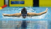 22 May 2024; Roisín Ní Riain of Limerick Swimming Club competes in the Women's 200m Individual Medley Finals during day one of the Ireland Olympic Swimming Trials at the National Aquatic Centre on the Sport Ireland Campus in Dublin. Photo by Shauna Clinton/Sportsfile
