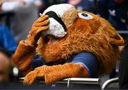 25 May 2024; Leinster mascot Leo the Lion looks on in extra-time of the Investec Champions Cup final between Leinster and Toulouse at the Tottenham Hotspur Stadium in London, England. Photo by Harry Murphy/Sportsfile