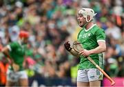 26 May 2024; Fergal O'Connor of Limerick celebrates after his side's victory during the Munster GAA Hurling Senior Championship Round 5 match between Limerick and Waterford at TUS Gaelic Grounds in Limerick Photo by Sam Barnes/Sportsfile