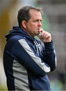 26 May 2024; Waterford manager Davy Fitzgerald during the Munster GAA Hurling Senior Championship Round 5 match between Limerick and Waterford at TUS Gaelic Grounds in Limerick Photo by Sam Barnes/Sportsfile