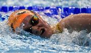 26 May 2024; Abby Cunningham of Kilkenny swimming club competes in the women's 800m freestyle final during day five of the Ireland Olympic Swimming Trials at the National Aquatic Centre on the Sport Ireland Campus in Dublin. Photo by Tyler Miller/Sportsfile