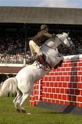 7 August 2004; Ireland's Caotian David O'Brien on Cruisehill jumps the wall during the Land Rover Puissance. Dublin Horse Show, Main Arena, RDS, Dublin. Picture credit; Matt Browne / SPORTSFILE