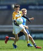 14 June 2024; Ronan McKenna of Antrim in action against Jonah O'Connor of Dublin during the friendship games between Dublin Cumann na mBunscol and Antrim Cumann na mBunscol at Parnell Park in Dublin. Photo by Shauna Clinton/Sportsfile