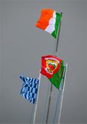 16 June 2024; The Tricolour, Mayo and Dublin flags flutter in the wind during the GAA Football All-Ireland Senior Championship Round 3 match between Dublin and Mayo at Dr Hyde Park in Roscommon. Photo by Ray McManus/Sportsfile