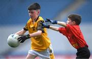 24 June 2024; Action from Cárna-Caiseal, Galway, and Béal Átha an Ghaorthaigh, Cork, during the GAAgaeilge Go Games at Croke Park in Dublin. Photo by Shauna Clinton/Sportsfile