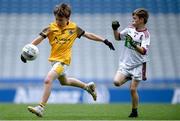 24 June 2024; Action from Naomh Séamus, Galway, and Cárna-Caiseal, Galway, during the GAAgaeilge Go Games at Croke Park in Dublin. Photo by Shauna Clinton/Sportsfile