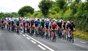 9 July 2024; The peloton during stage one of the 2024 Junior Tour of Ireland at the Maghera stage in Clare. Photo by Stephen McMahon/Sportsfile