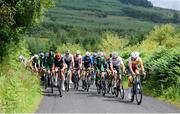 13 July 2024; A general view of the peloton during stage five of the 2024 Junior Tour of Ireland at the East Clare stage in Clare. Photo by Stephen McMahon/Sportsfile