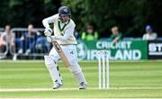 28 July 2024; Andy McBrine of Ireland batting during day four of the Test Match between Ireland and Zimbabwe at Stormont in Belfast. Photo by Oliver McVeigh/Sportsfile