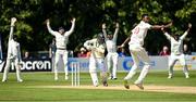 28 July 2024; Zimbabwe players appealing for the wicket of Andy McBrine of Ireland  during day four of the Test Match between Ireland and Zimbabwe at Stormont in Belfast. Photo by Oliver McVeigh/Sportsfile