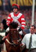 18 March 1998; Adrian Maguire on Viking Flagship during day two of the Cheltenham Racing Festival at Prestbury Park in Cheltenham, England. Photo by Matt Browne/Sportsfile