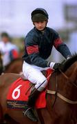18 March 1998; Andrew Thornton on French Holly during day two of the Cheltenham Racing Festival at Prestbury Park in Cheltenham, England. Photo by Matt Browne/Sportsfile
