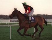 26 December 1998; Bahao, with Barry Cash up, during the Leopardstown Christmas Festival Day One at Leopardstown Racecourse in Dublin. Photo by Ray McManus/Sportsfile