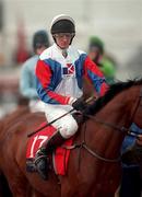 18 March 1998: Chris Maude and Aboo Hom. Picture Credit: Matt Browne/ SPORTSFILE *** Local Caption *** 18 March 1998; Chris Maude on Aboo Hom during day two of the Cheltenham Racing Festival at Prestbury Park in Cheltenham, England. Photo by Matt Browne/Sportsfile