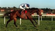 2 February 1997; Danoli, with Tommy Treacy up, on their way to winning The Champion Hurdle during Horse Racing from Leopardstown in Dublin. Photo by Brendan Moran/Sportsfile