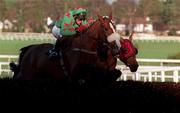 28 December 1998; Dorans Pride, with Paul Carberry up, clear the last on their way to winning the Ericsson Steeplechase during the Leopardstown Christmas Festival Day Three at Leopardstown Racecourse in Dublin. Photo by Ray McManus/Sportsfile