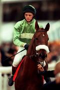 18 March 1998; Francis Flood on To Your Honour during day two of the Cheltenham Racing Festival at Prestbury Park in Cheltenham, England. Photo by Matt Browne/Sportsfile