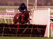 17 March 1998; French Ballerina, with Graham Bradley up, clear the last on their way to winning the Citroen Supreme Novices Hurdle race during day one of the Cheltenham Racing Festival at Prestbury Park in Cheltenham, England. Photo by Matt Browne/Sportsfile