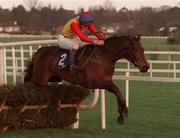 26 December 1998; Golden Rule, with Ruby Walsh up, jump the last in the Denny Juvenile Hurdle during the Leopardstown Christmas Festival Day One at Leopardstown Racecourse in Dublin. Photo by Ray McManus/Sportsfile