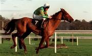 28 December 1998; Hardiman, with Conor O'Dwyer up, in action in the O'Dwyers Stillorgan Orchard Novice Hurdle during the Leopardstown Christmas Festival Day Three at Leopardstown Racecourse in Dublin. Photo by Matt Browne/Sportsfile